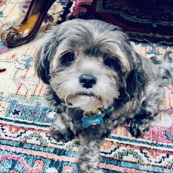 Meet your Posher Ella - Picture 9 of 14